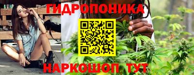 шишки Чебоксары