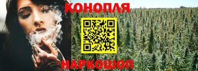 шишки Чебоксары